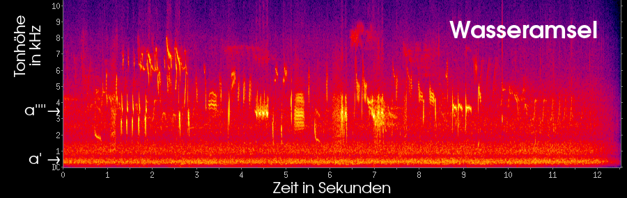 Spektrogramm des Liedes einer Wasseramsel.