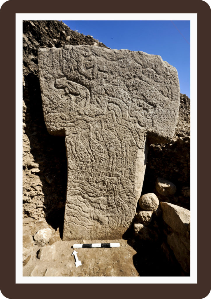 Zwei Meter hohe, T-förmige Säule (Nr. 56) aus Stein von Göbekli Tepe. (Foto: Nico Becker, DAI)