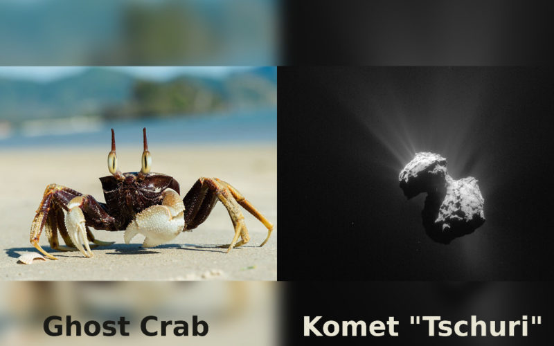 Rennkrabbe/Ghost Crab und Komet Tschuri