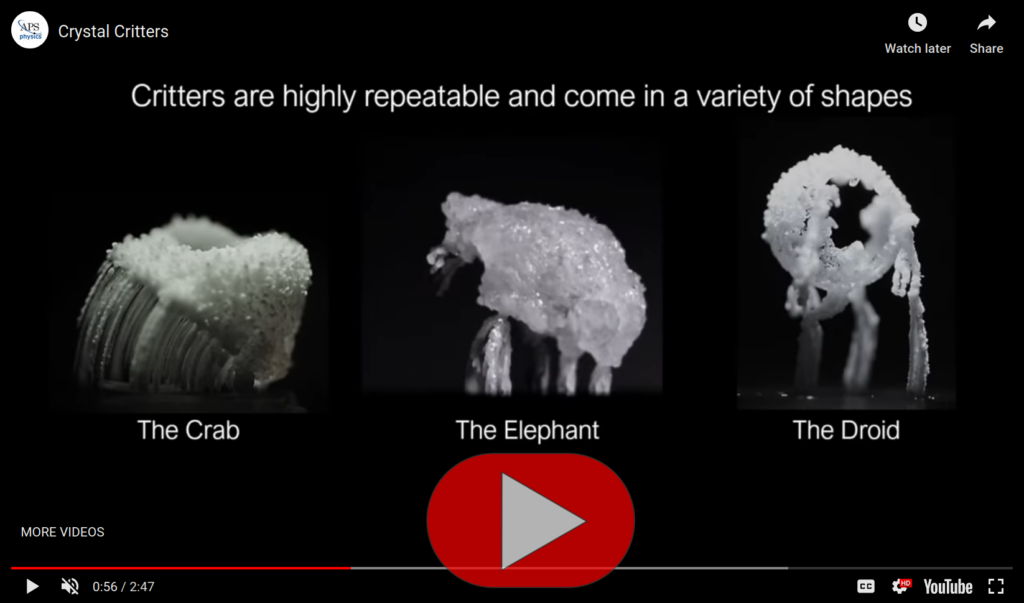 Video-Screenshot Kristalltierchen aus trocknenden Tropfen. Gewinner Milton Van Dyke-Preis 2019.