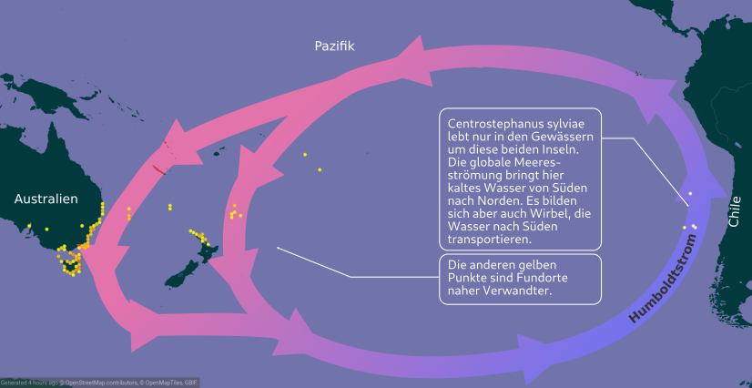 Karte des Südpazifiks mit eingezeichneter Strömung. Vor Chile heißt sie Humboldtstrom. 